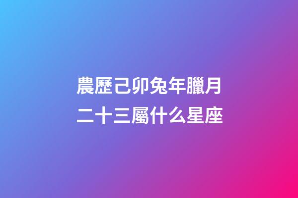 農歷己卯兔年臘月二十三屬什么星座-第1張-星座運勢-玄機派