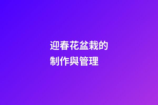 迎春花盆栽的制作與管理