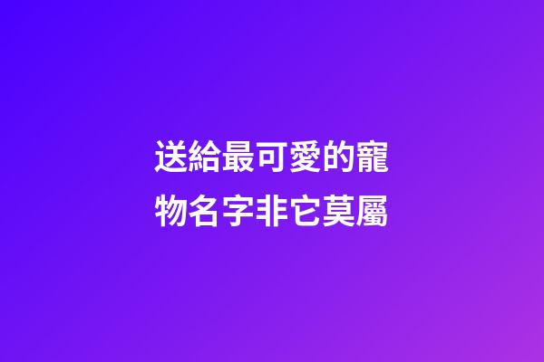 送給最可愛的寵物名字非它莫屬