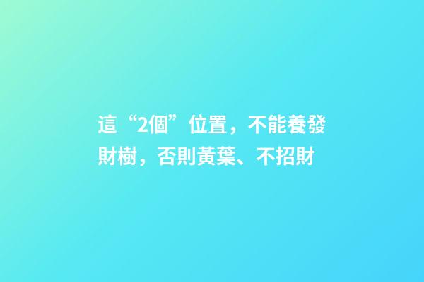 這“2個”位置，不能養發財樹，否則黃葉、不招財