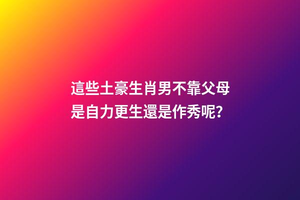 這些土豪生肖男不靠父母是自力更生還是作秀呢？