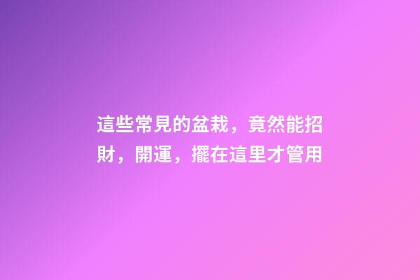 這些常見的盆栽，竟然能招財，開運，擺在這里才管用