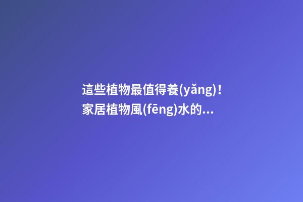 這些植物最值得養(yǎng)！家居植物風(fēng)水的影響