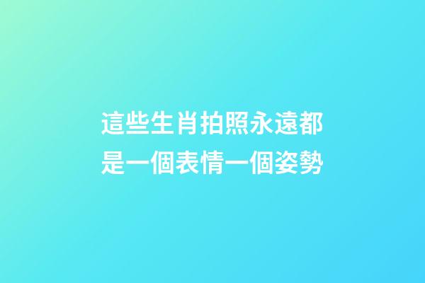 這些生肖拍照永遠都是一個表情一個姿勢