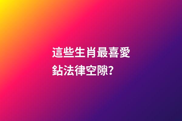這些生肖最喜愛鉆法律空隙？