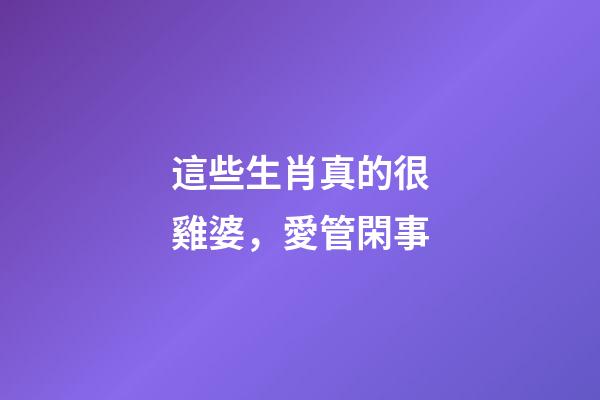 這些生肖真的很雞婆，愛管閑事