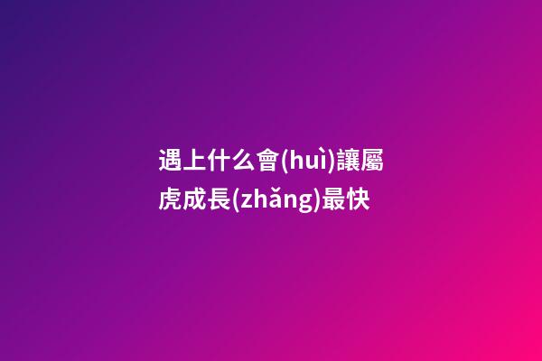 遇上什么會(huì)讓屬虎成長(zhǎng)最快