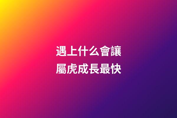 遇上什么會讓屬虎成長最快
