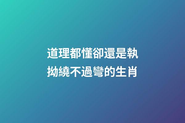 道理都懂卻還是執拗繞不過彎的生肖