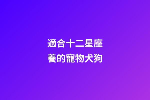 適合十二星座養的寵物犬狗-第1張-星座運勢-玄機派
