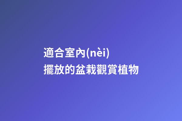 適合室內(nèi)擺放的盆栽觀賞植物