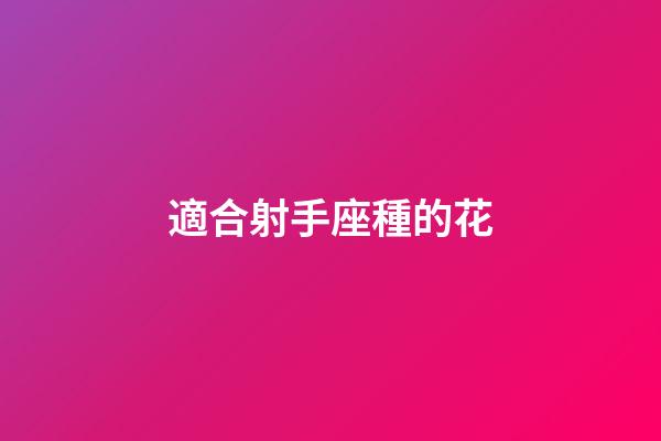 適合射手座種的花-第1張-星座運勢-玄機派