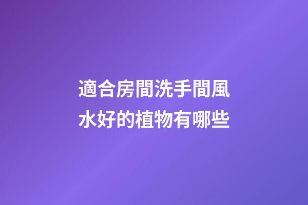 適合房間洗手間風水好的植物有哪些