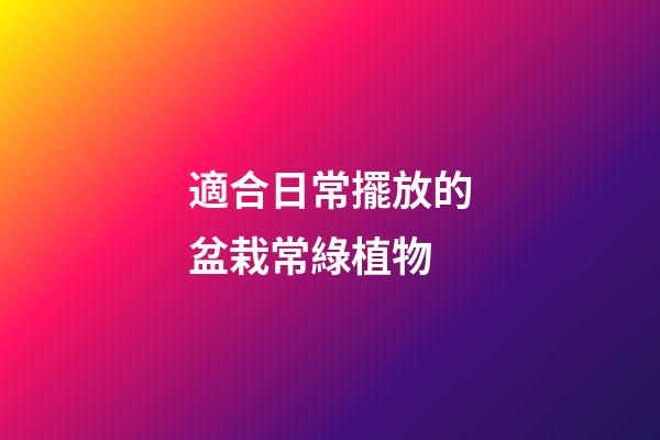 適合日常擺放的盆栽常綠植物