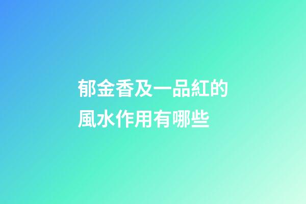 郁金香及一品紅的風水作用有哪些?