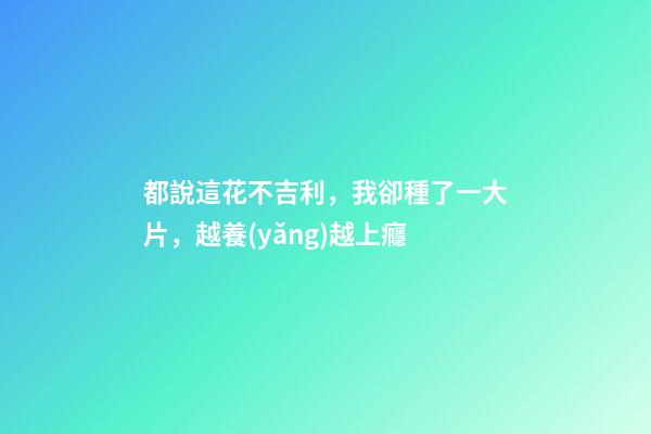 都說這花不吉利，我卻種了一大片，越養(yǎng)越上癮