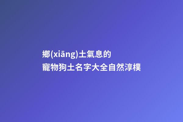 鄉(xiāng)土氣息的寵物狗土名字大全自然淳樸