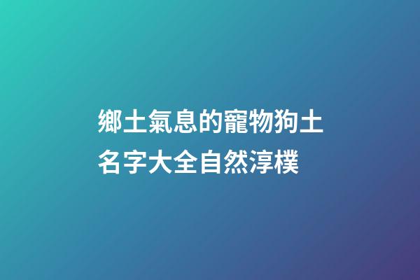 鄉土氣息的寵物狗土名字大全自然淳樸