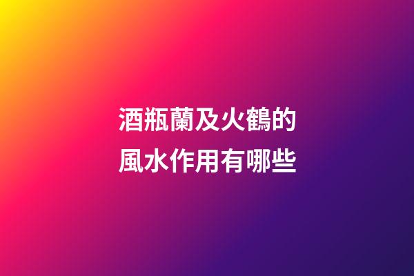 酒瓶蘭及火鶴的風水作用有哪些?