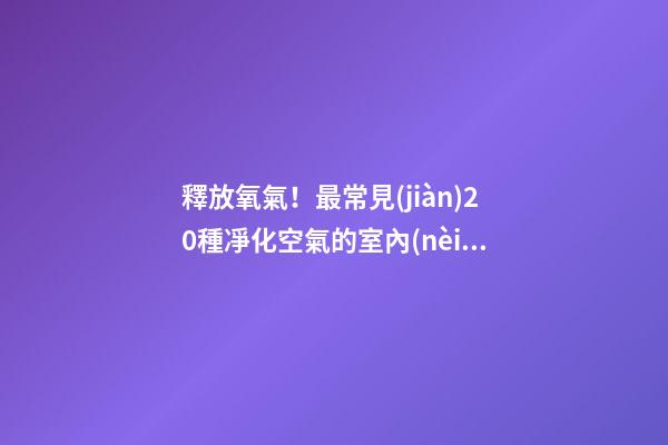 釋放氧氣！最常見(jiàn)20種凈化空氣的室內(nèi)植物