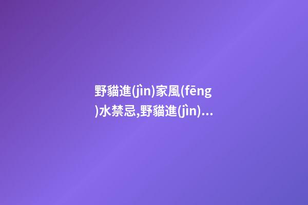 野貓進(jìn)家風(fēng)水禁忌,野貓進(jìn)門產(chǎn)子預(yù)示什么