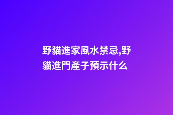 野貓進家風水禁忌,野貓進門產子預示什么