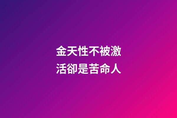 金天性不被激活卻是苦命人