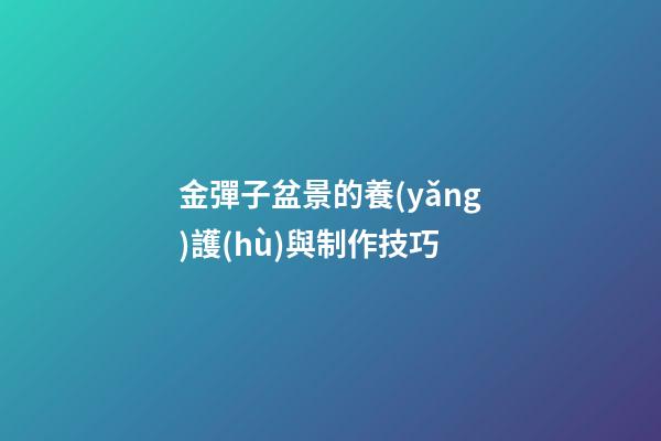 金彈子盆景的養(yǎng)護(hù)與制作技巧