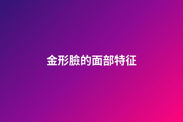 金形臉的面部特征