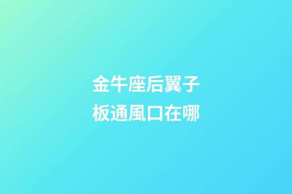 金牛座后翼子板通風口在哪-第1張-星座運勢-玄機派