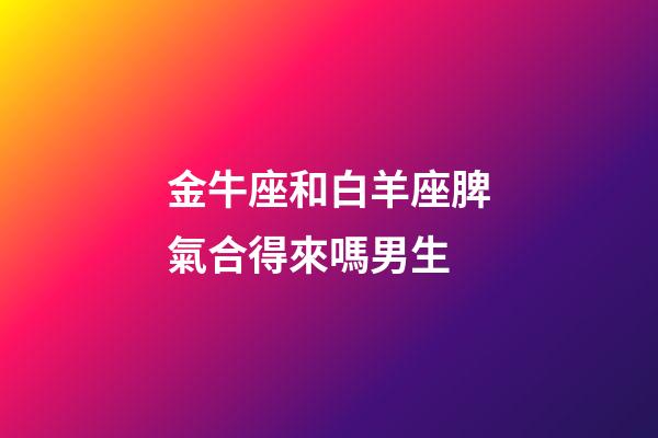金牛座和白羊座脾氣合得來嗎男生-第1張-星座運勢-玄機派