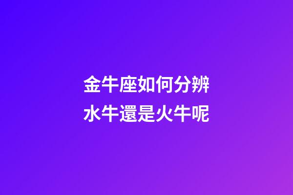 金牛座如何分辨水牛還是火牛呢