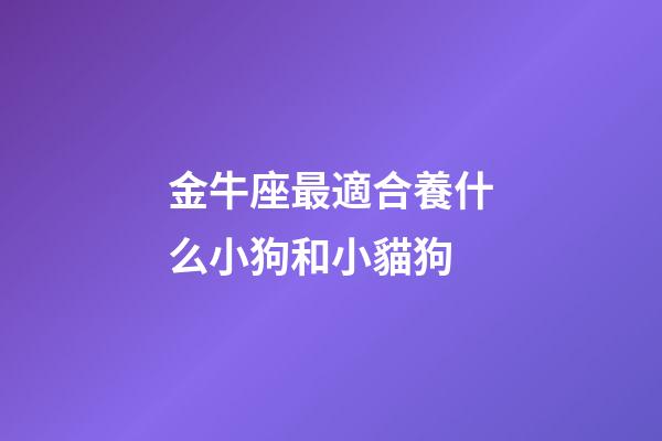 金牛座最適合養什么小狗和小貓狗-第1張-星座運勢-玄機派