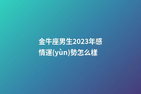 金牛座男生2023年感情運(yùn)勢怎么樣-第1張-星座運(yùn)勢-玄機(jī)派