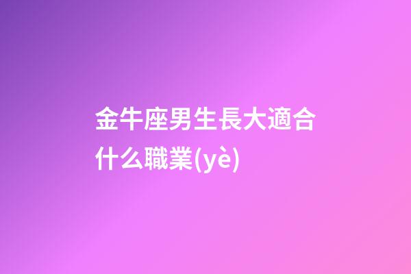金牛座男生長大適合什么職業(yè)-第1張-星座運勢-玄機派