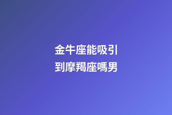 金牛座能吸引到摩羯座嗎男-第1張-星座運勢-玄機派