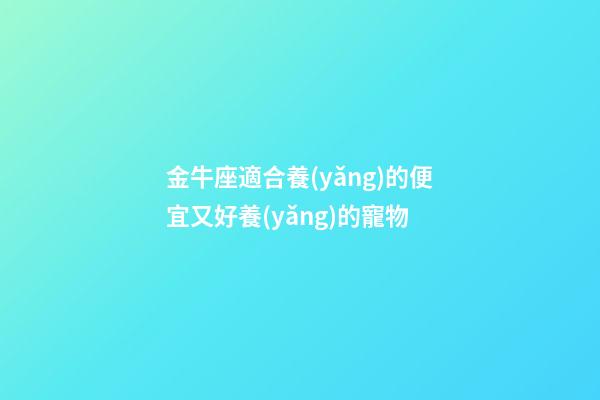 金牛座適合養(yǎng)的便宜又好養(yǎng)的寵物-第1張-星座運勢-玄機派