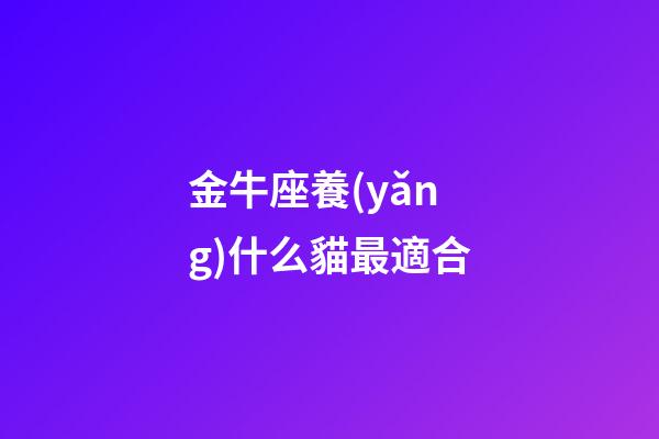金牛座養(yǎng)什么貓最適合-第1張-星座運(yùn)勢(shì)-玄機(jī)派