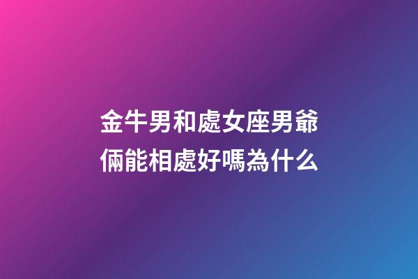 金牛男和處女座男爺倆能相處好嗎為什么-第1張-星座運勢-玄機派
