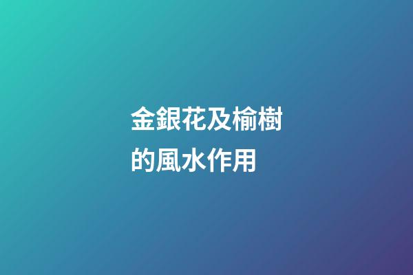 金銀花及榆樹的風水作用