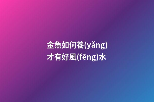 金魚如何養(yǎng)才有好風(fēng)水
