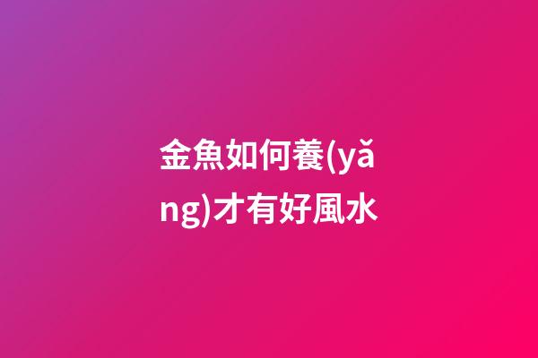 金魚如何養(yǎng)才有好風水
