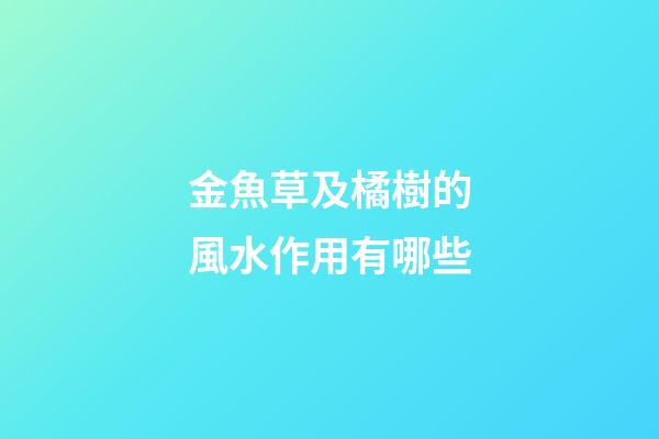 金魚草及橘樹的風水作用有哪些?
