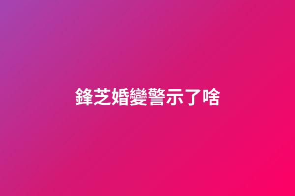 鋒芝婚變警示了啥