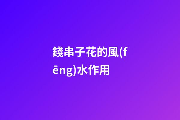 錢串子花的風(fēng)水作用