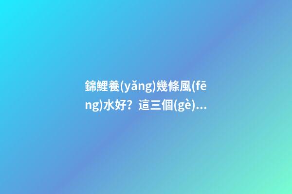錦鯉養(yǎng)幾條風(fēng)水好？這三個(gè)說(shuō)法要記好了！