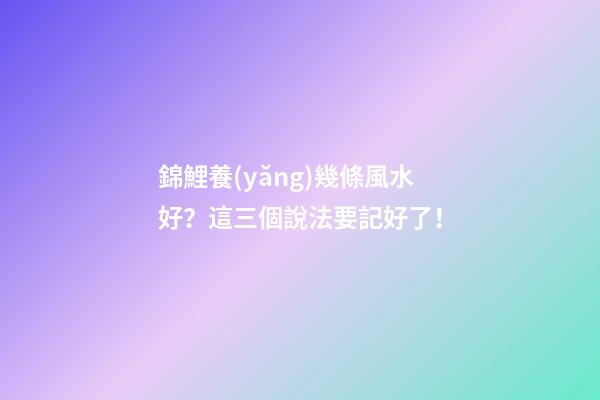 錦鯉養(yǎng)幾條風水好？這三個說法要記好了！