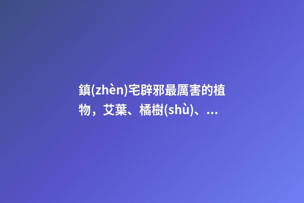 鎮(zhèn)宅辟邪最厲害的植物，艾葉、橘樹(shù)、桃樹(shù)等