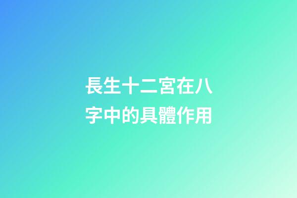 長生十二宮在八字中的具體作用