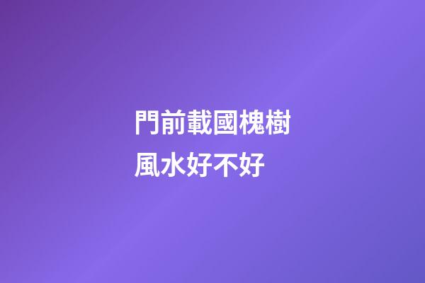 門前載國槐樹風水好不好